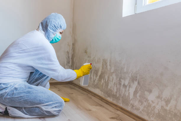 Mold Remediation specialist working in Smyrna